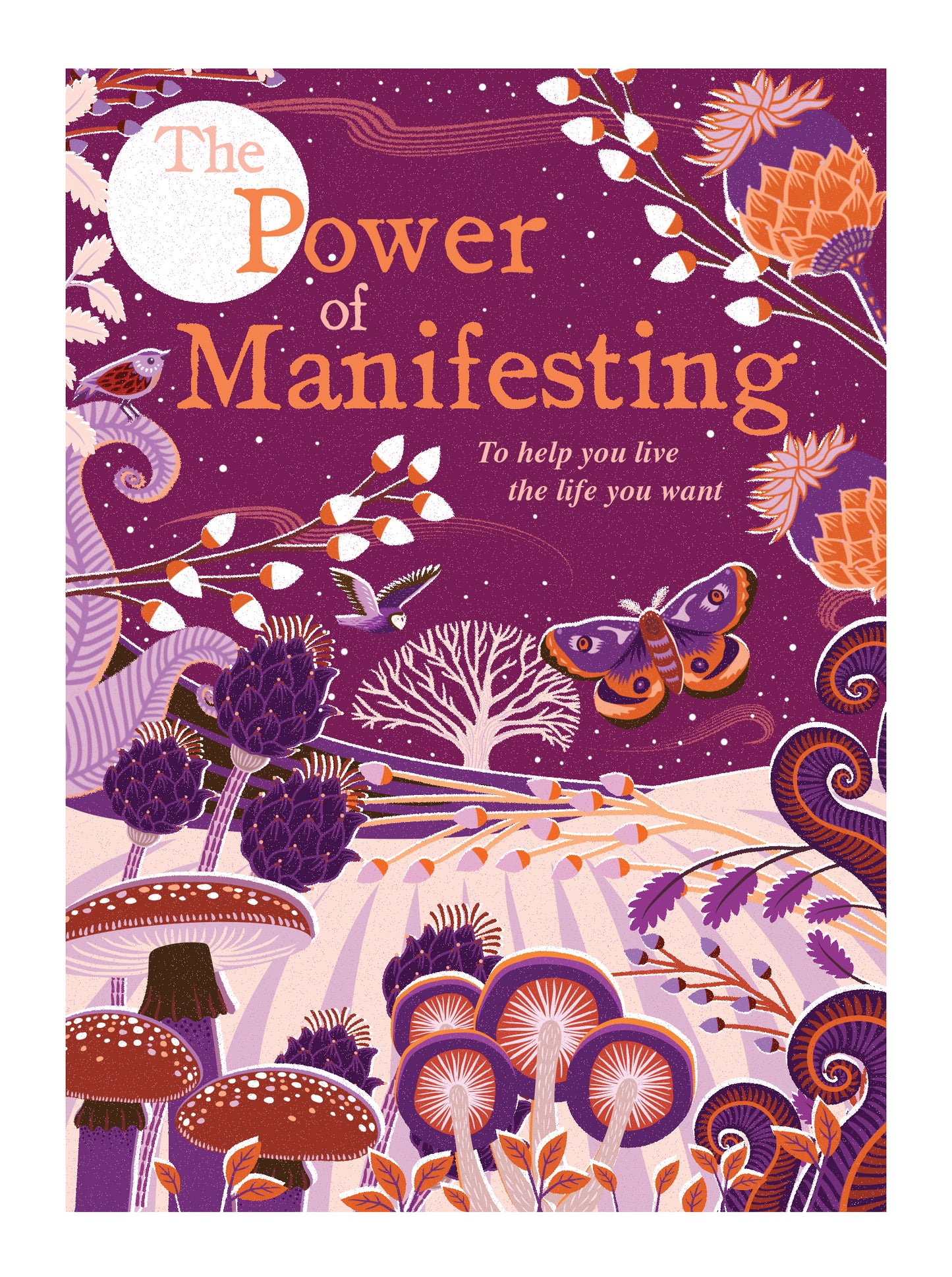 The Power of Manifesting. To help you live the life you want. | Gift Book | Books Make Great Gifts