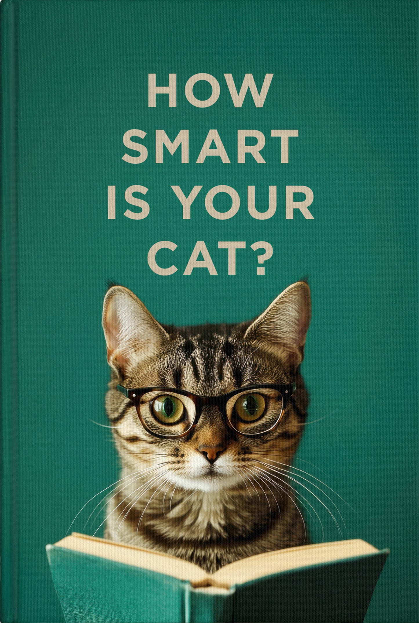 How Smart is Your Cat? | Gift Book | Books Make Great Gifts