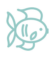 Oceans | Gift Books | Books Make Great Gifts