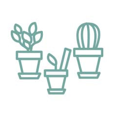 Books for Plant Parents | Gift Books | Books Make Great Gifts