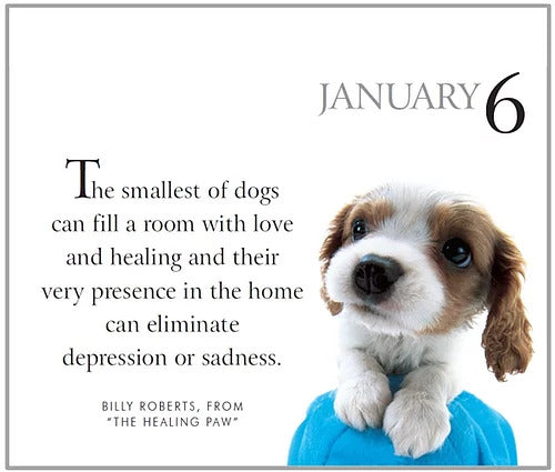 365 For My Dad Perpetual Calendar | Gift Book | Books Make Great Gifts