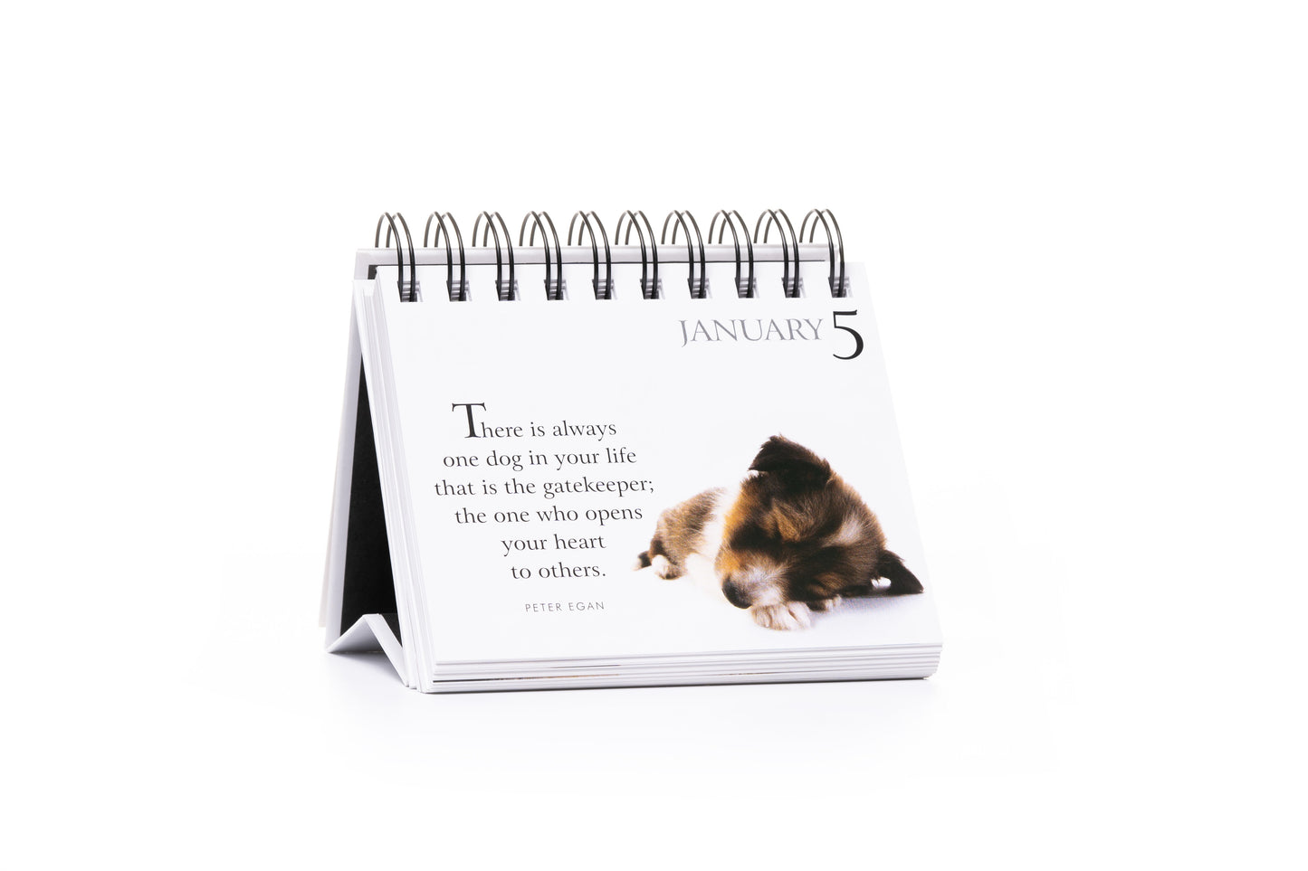 365 For My Dad Perpetual Calendar | Gift Book | Books Make Great Gifts