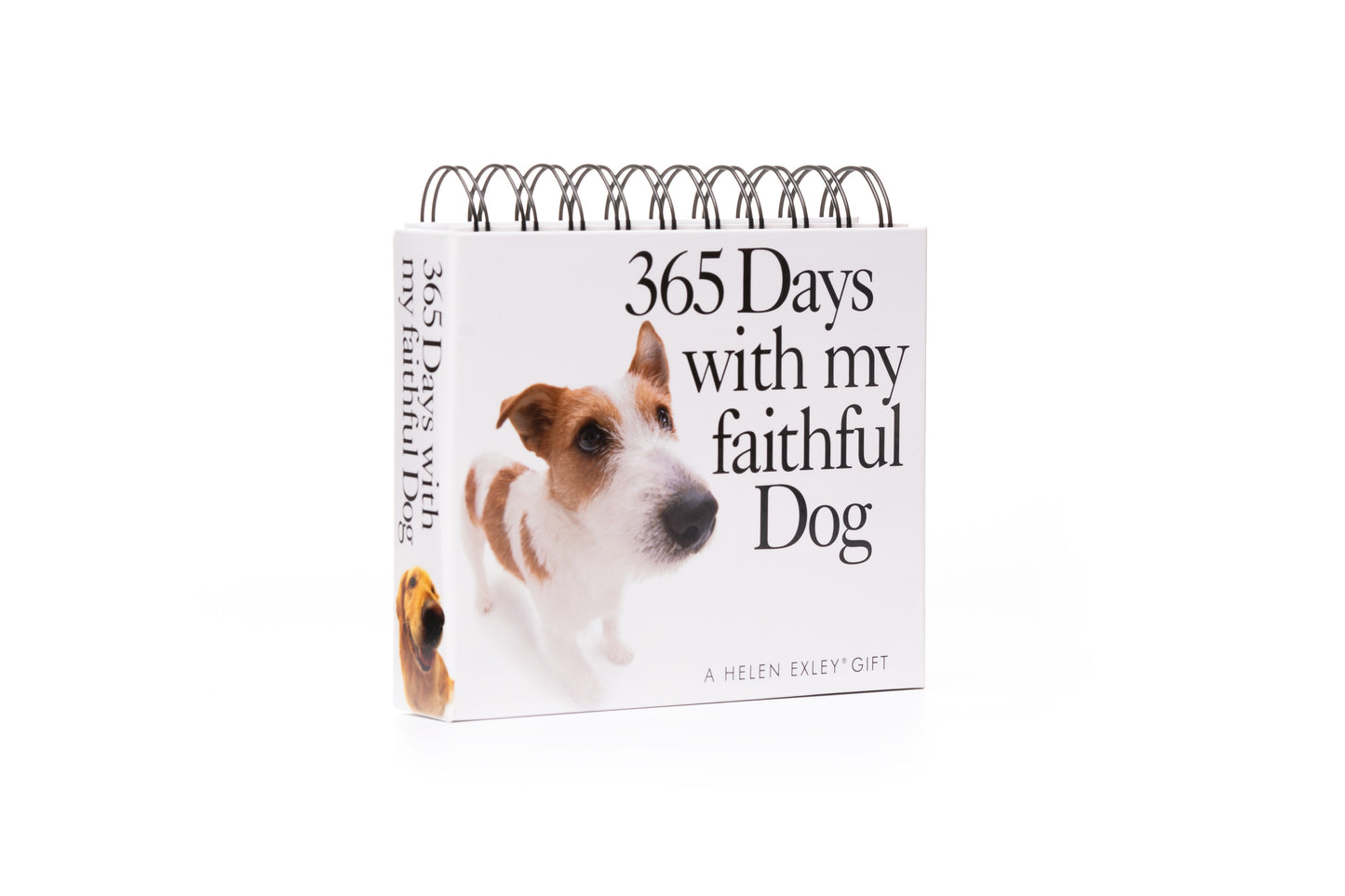365 For My Dad Perpetual Calendar | Gift Book | Books Make Great Gifts