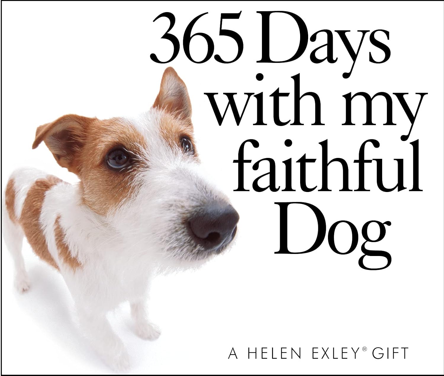 365 For My Dad Perpetual Calendar | Gift Book | Books Make Great Gifts