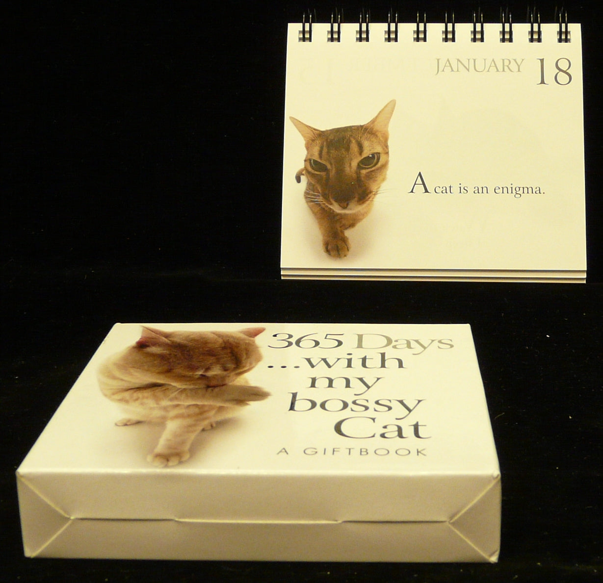 365 Days With My Bossy Cat Perpetual Calendar | Gift Book | Books Make Great Gifts