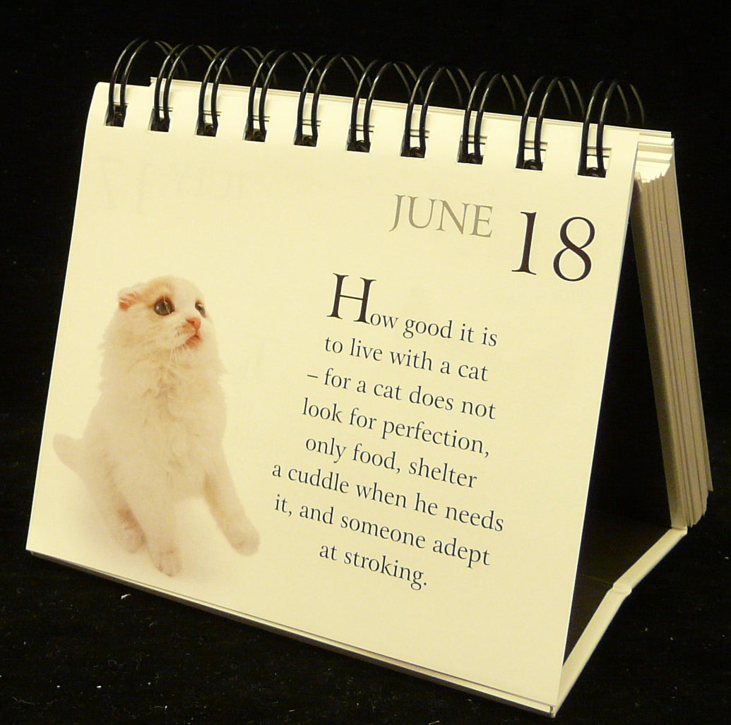 365 Days With My Bossy Cat Perpetual Calendar | Gift Book | Books Make Great Gifts
