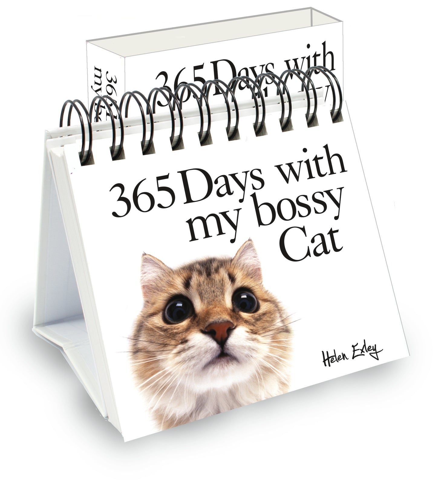 365 Days With My Bossy Cat Perpetual Calendar | Gift Book | Books Make Great Gifts