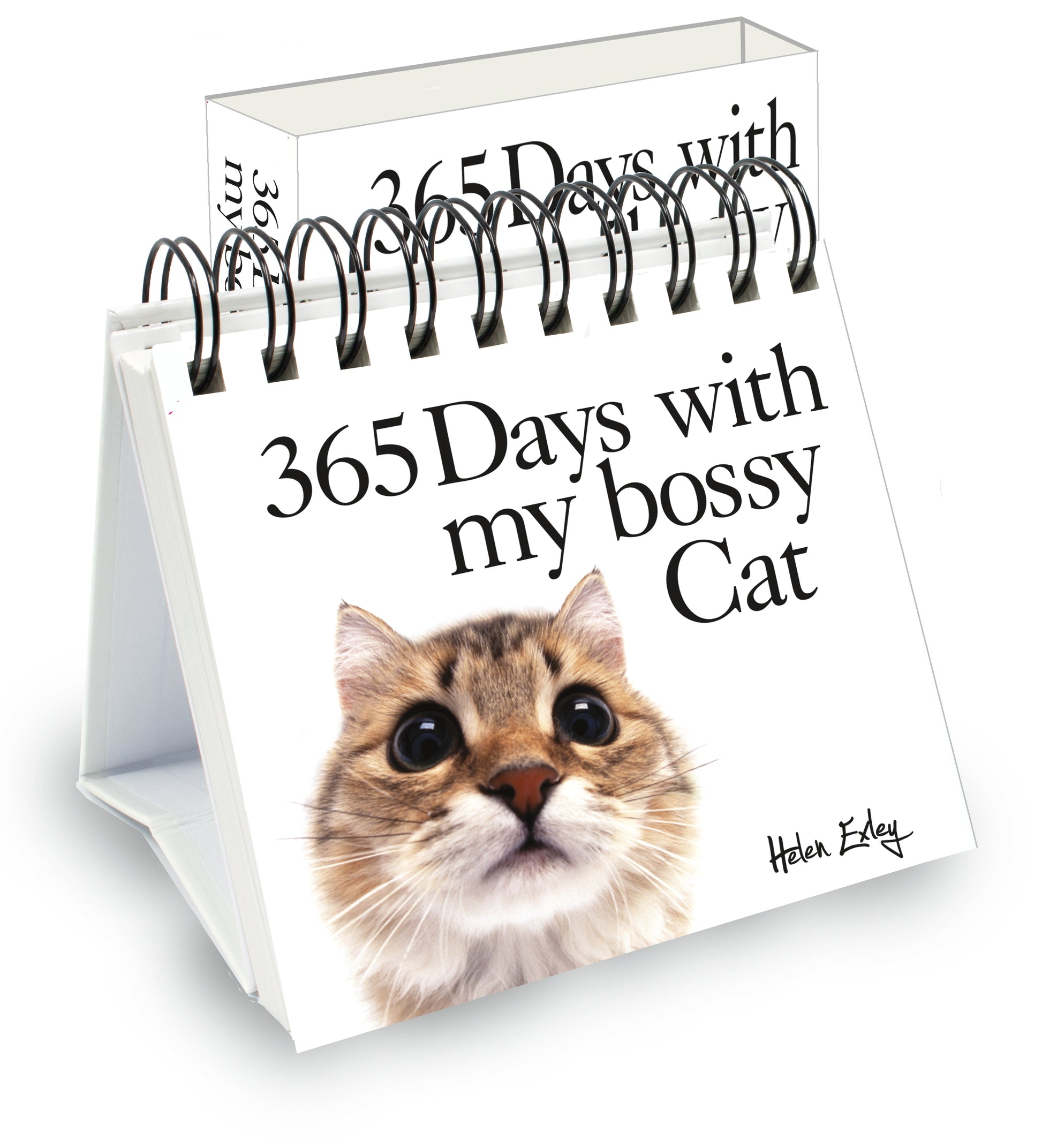 365 Days With My Bossy Cat Perpetual Calendar | Gift Book | Books Make Great Gifts