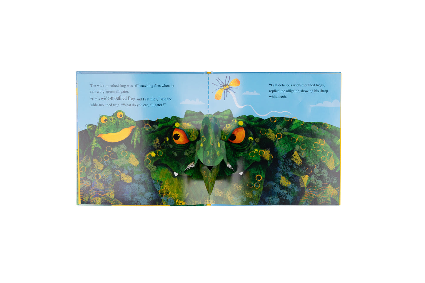 The Wide Mouthed Frog Pop Up Book | Gift Book | Books Make Great Gifts