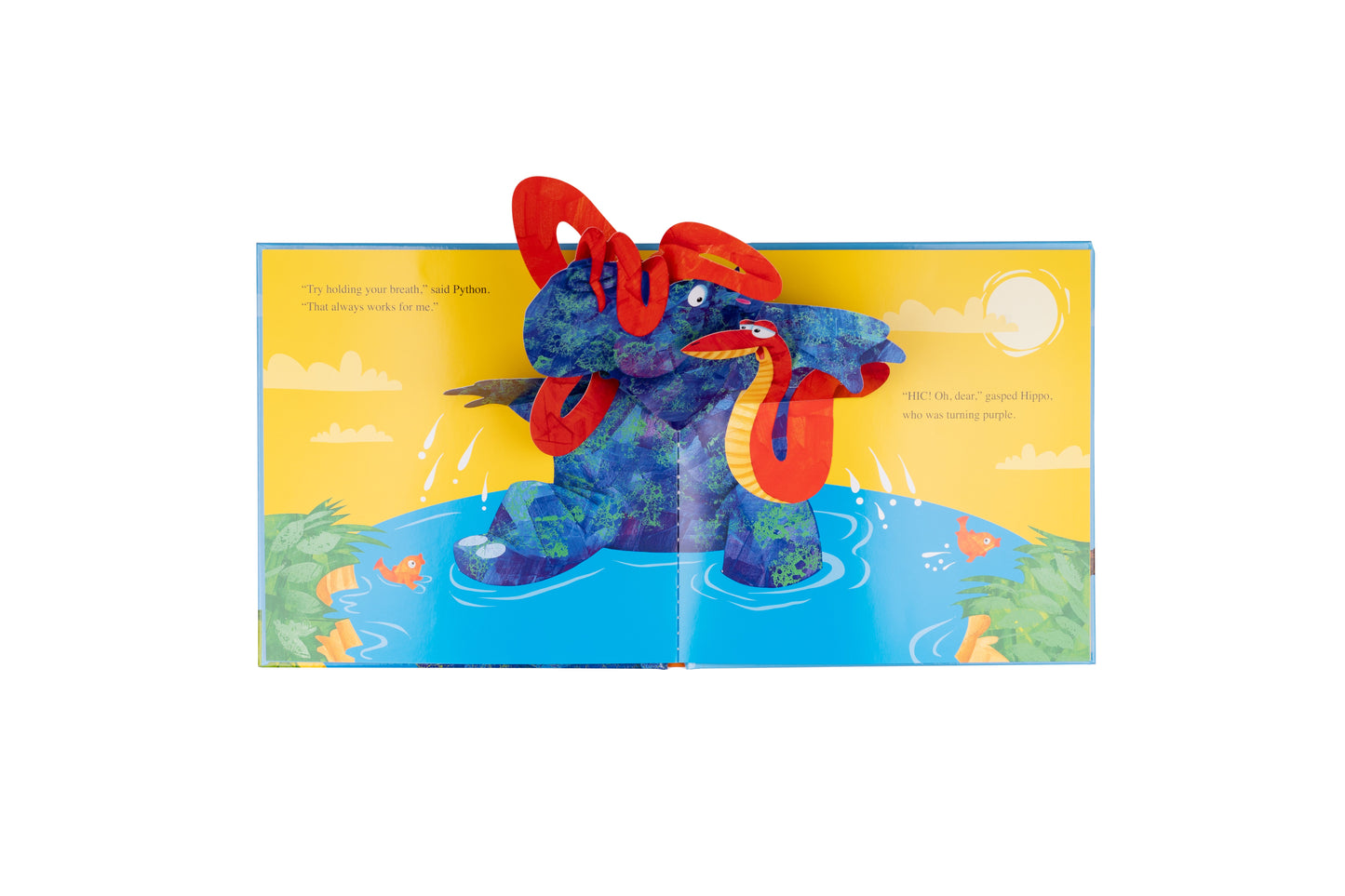 The Hiccuping Hippo Pop Up Book | Gift Book | Books Make Great Gifts