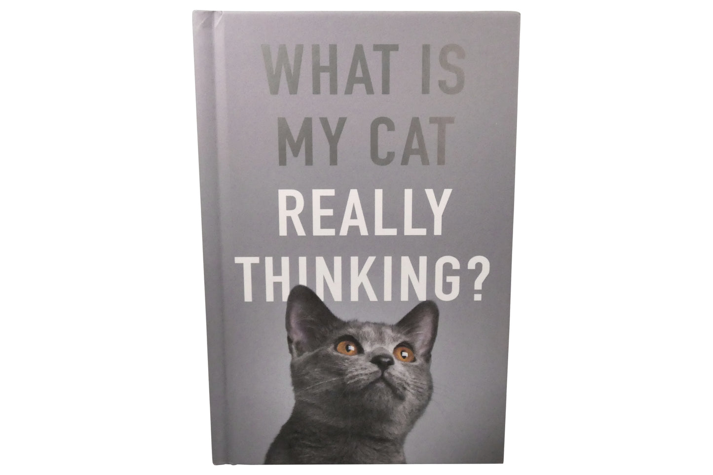 What Is My Cat Really Thinking? | Gift Book | Books Make Great Gifts