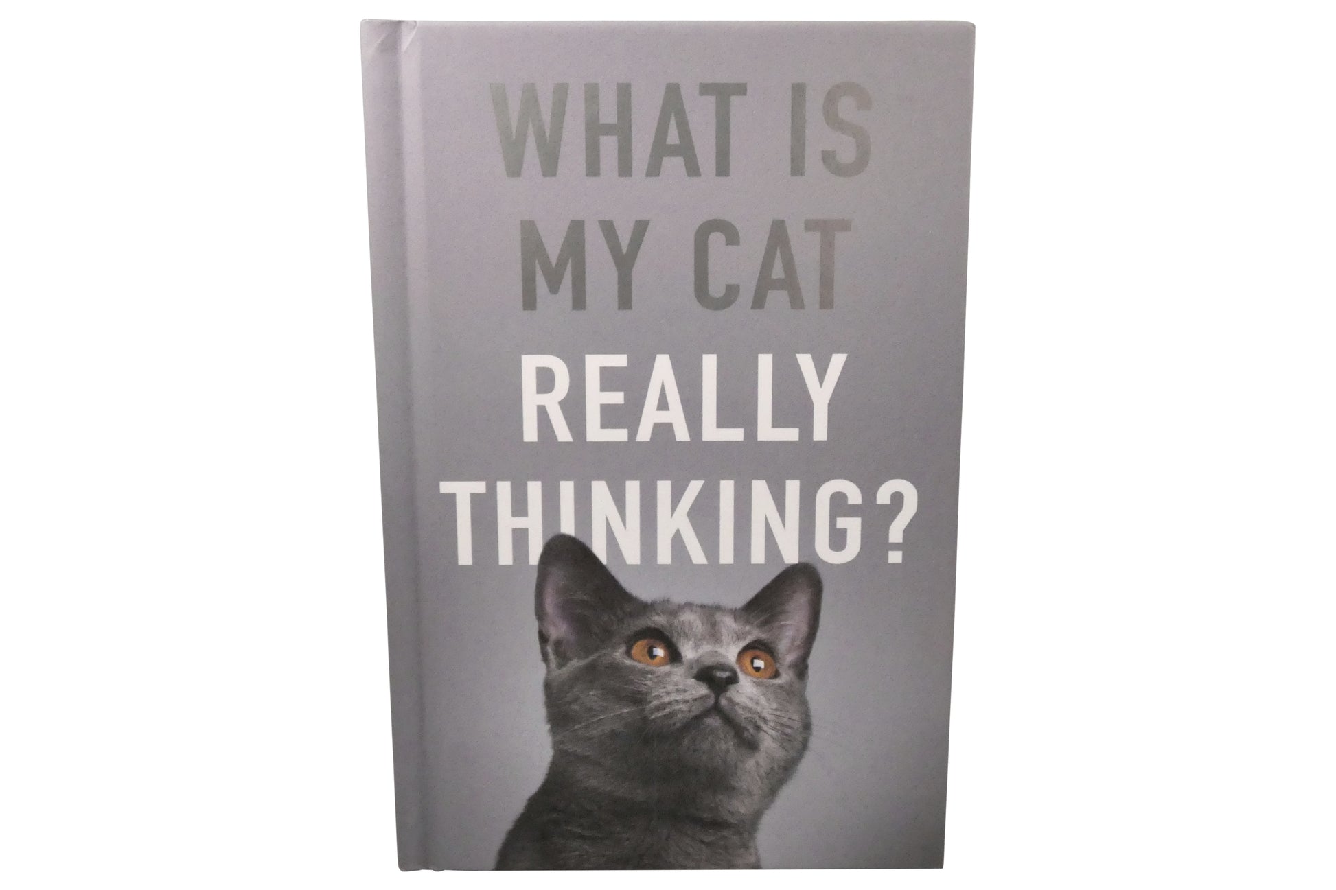 What Is My Cat Really Thinking? | Gift Book | Books Make Great Gifts