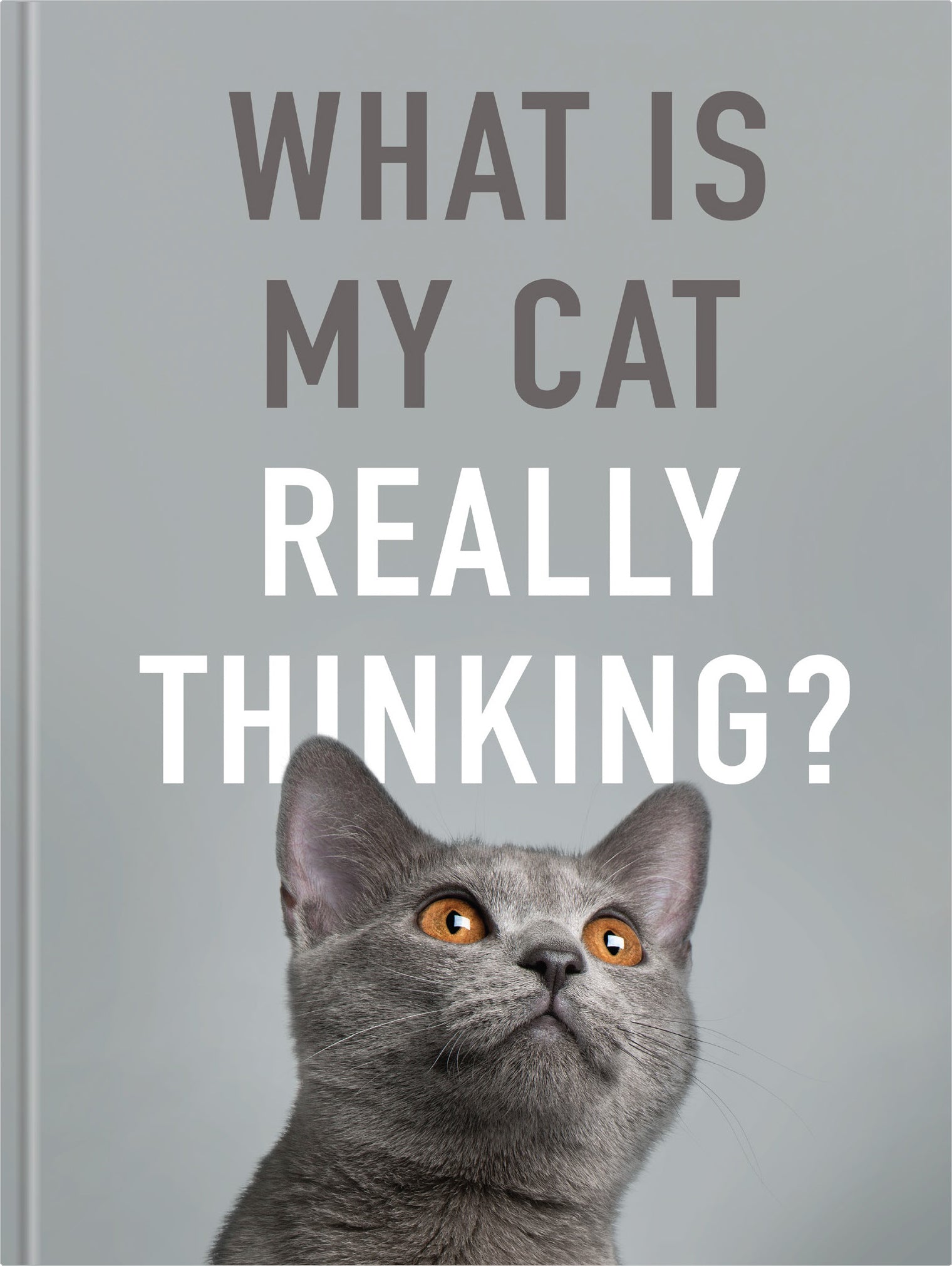 What Is My Cat Really Thinking? | Gift Book | Books Make Great Gifts