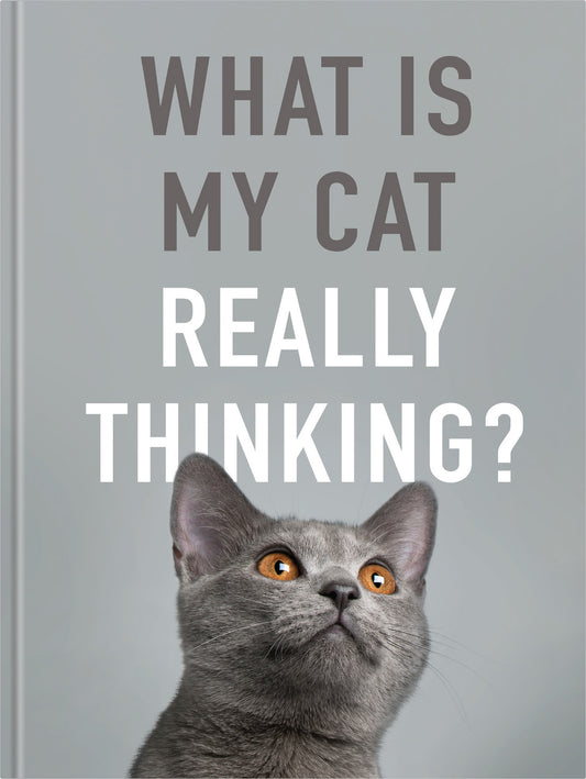 What Is My Cat Really Thinking? | Gift Book | Books Make Great Gifts