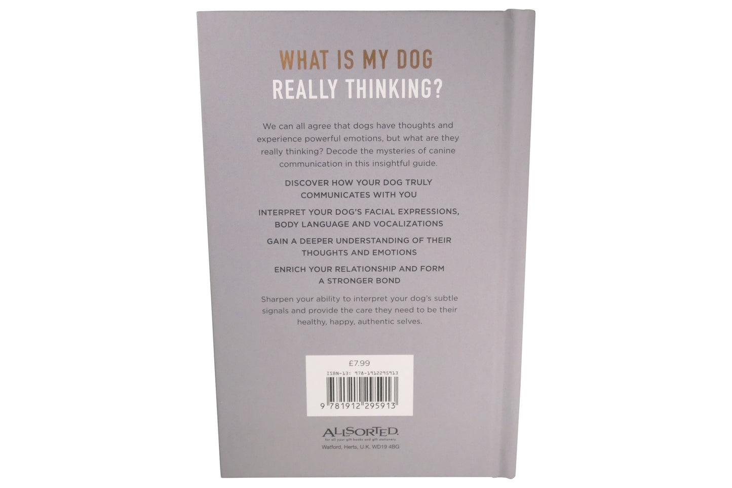 What Is My Dog Really Thinking? | Gift Book | Books Make Great Gifts