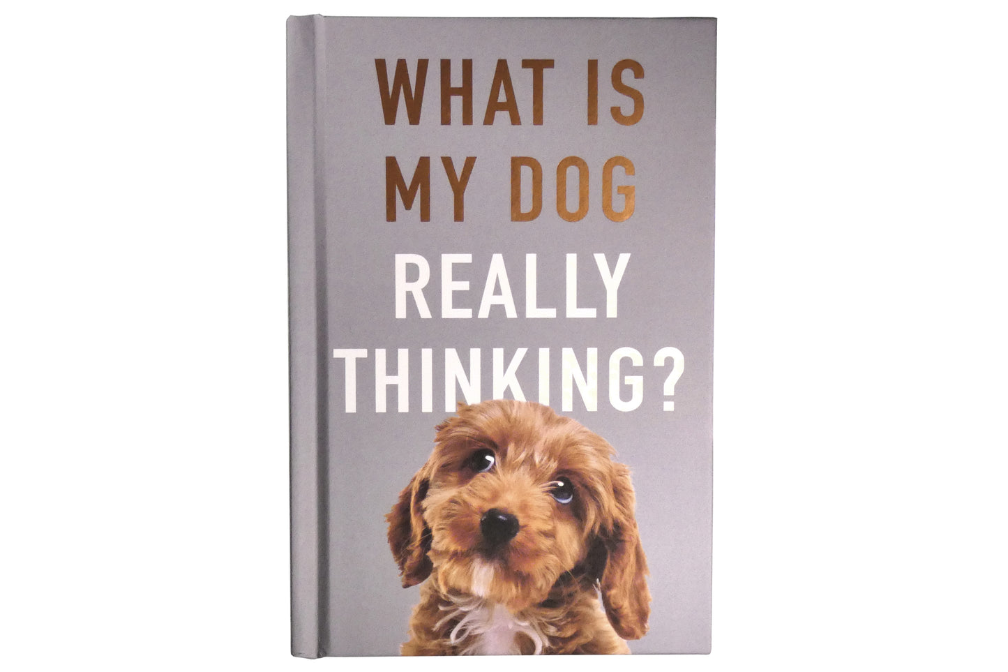 What Is My Dog Really Thinking? | Gift Book | Books Make Great Gifts