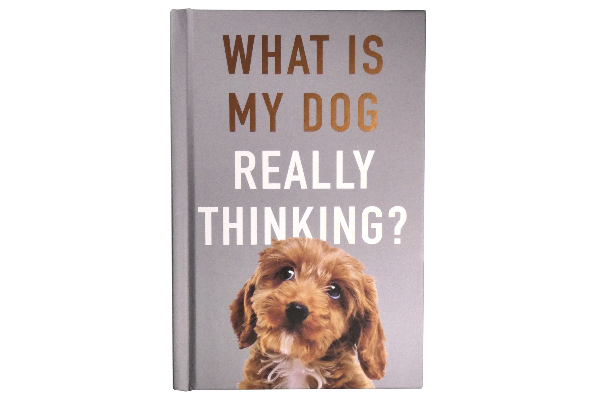 What Is My Dog Really Thinking? | Gift Book | Books Make Great Gifts