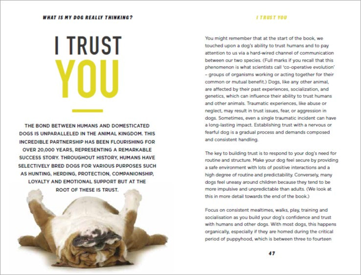 What Is My Dog Really Thinking? | Gift Book | Books Make Great Gifts