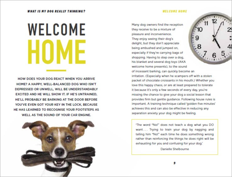 What Is My Dog Really Thinking? | Gift Book | Books Make Great Gifts