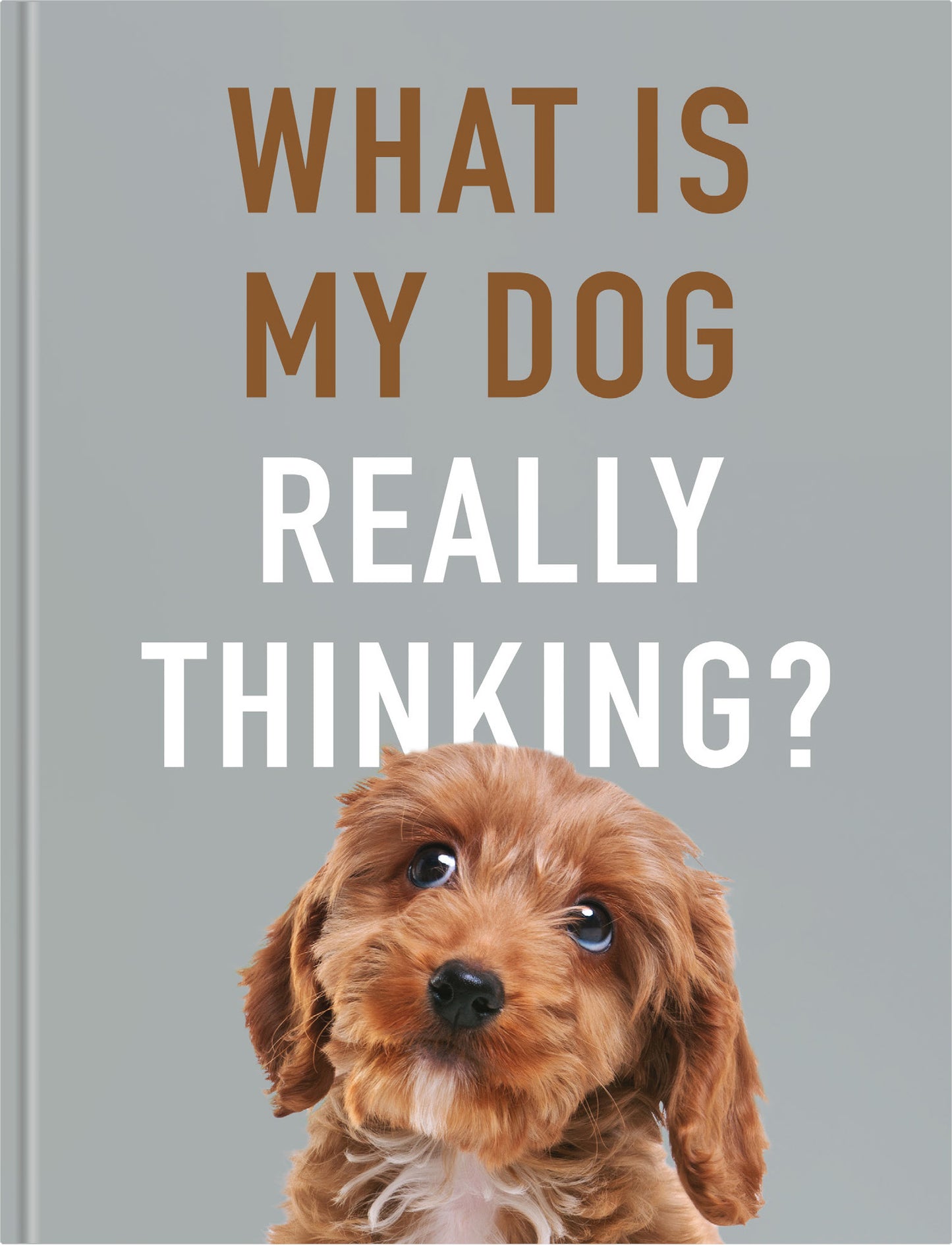 What Is My Dog Really Thinking? | Gift Book | Books Make Great Gifts