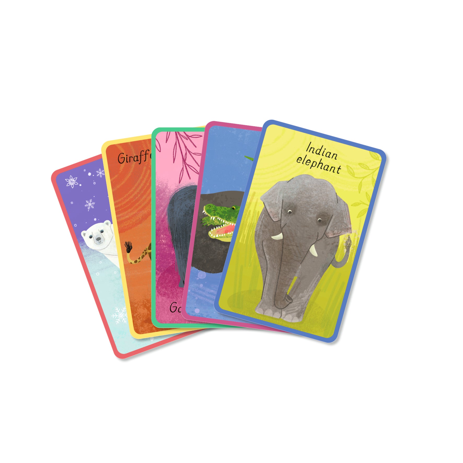 Wild Animal Snap! With 2 bonus fact cards | Gift Book | Books Make Great Gifts