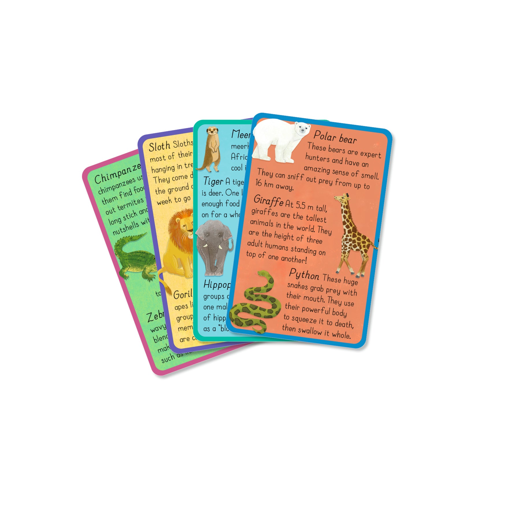 Wild Animal Snap! With 2 bonus fact cards | Gift Book | Books Make Great Gifts