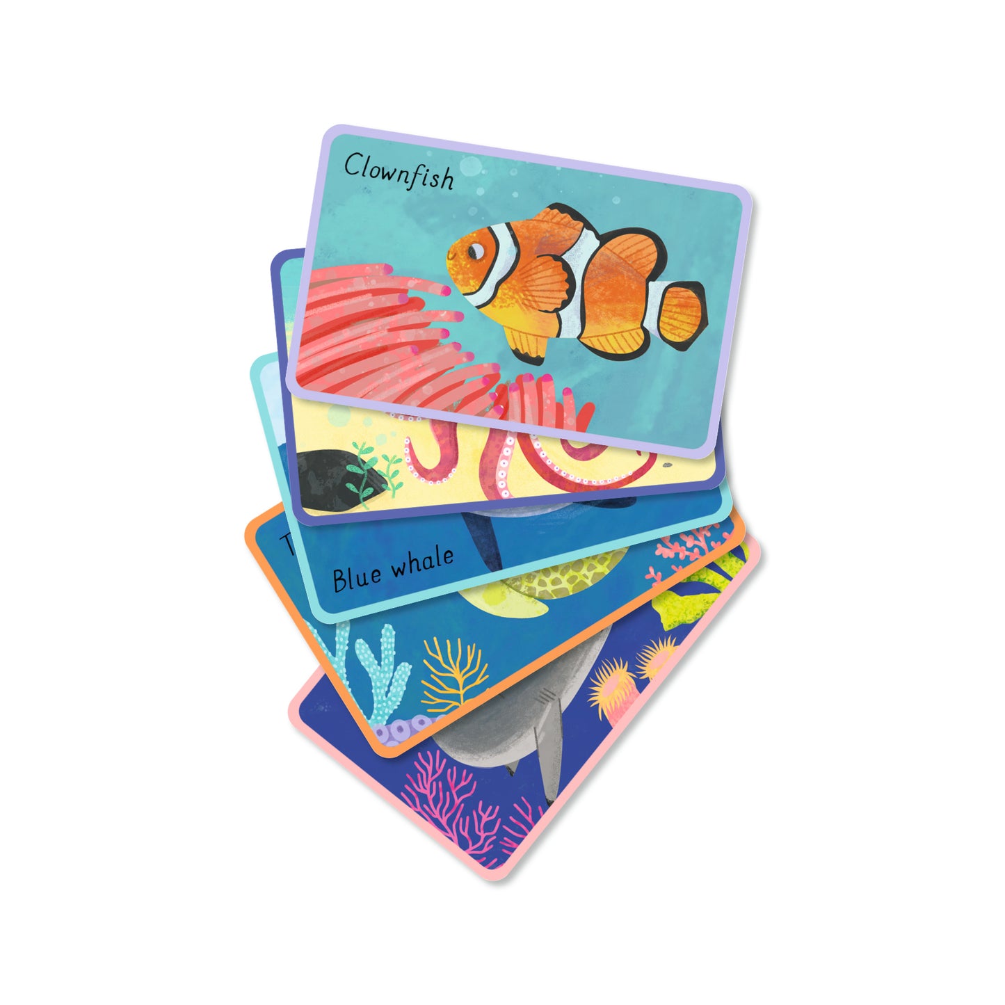 Ocean Snap! With 2 bonus fact cards | Gift Book | Books Make Great Gifts