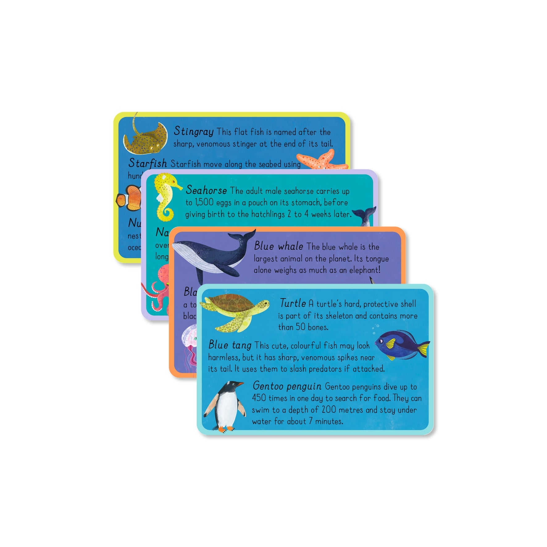 Ocean Snap! With 2 bonus fact cards | Gift Book | Books Make Great Gifts