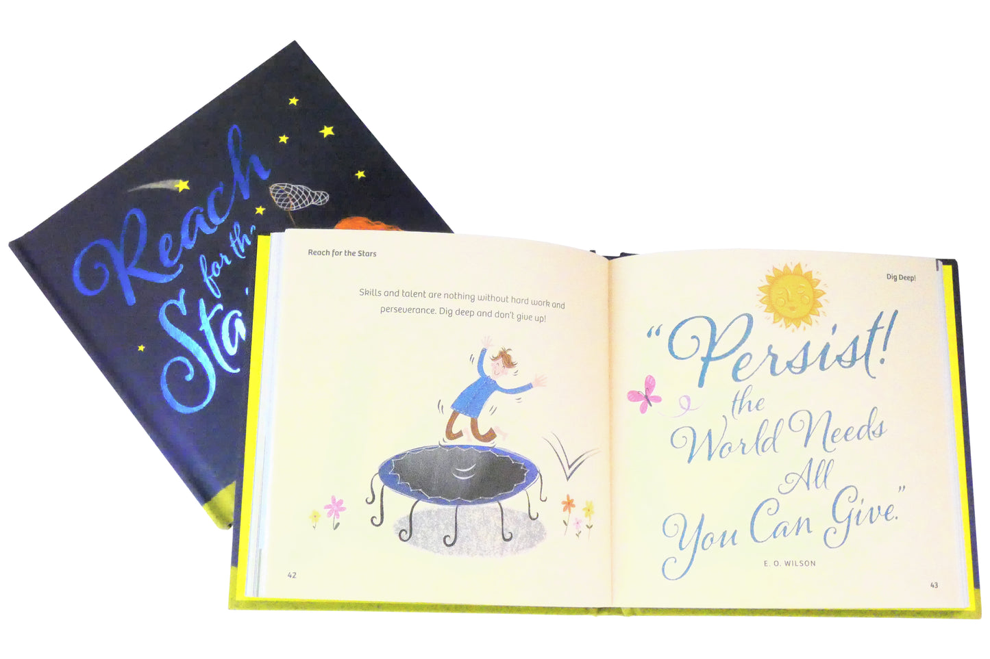 Reach for the Stars. A Little Book for Someone Special | Gift Book | Books Make Great Gifts