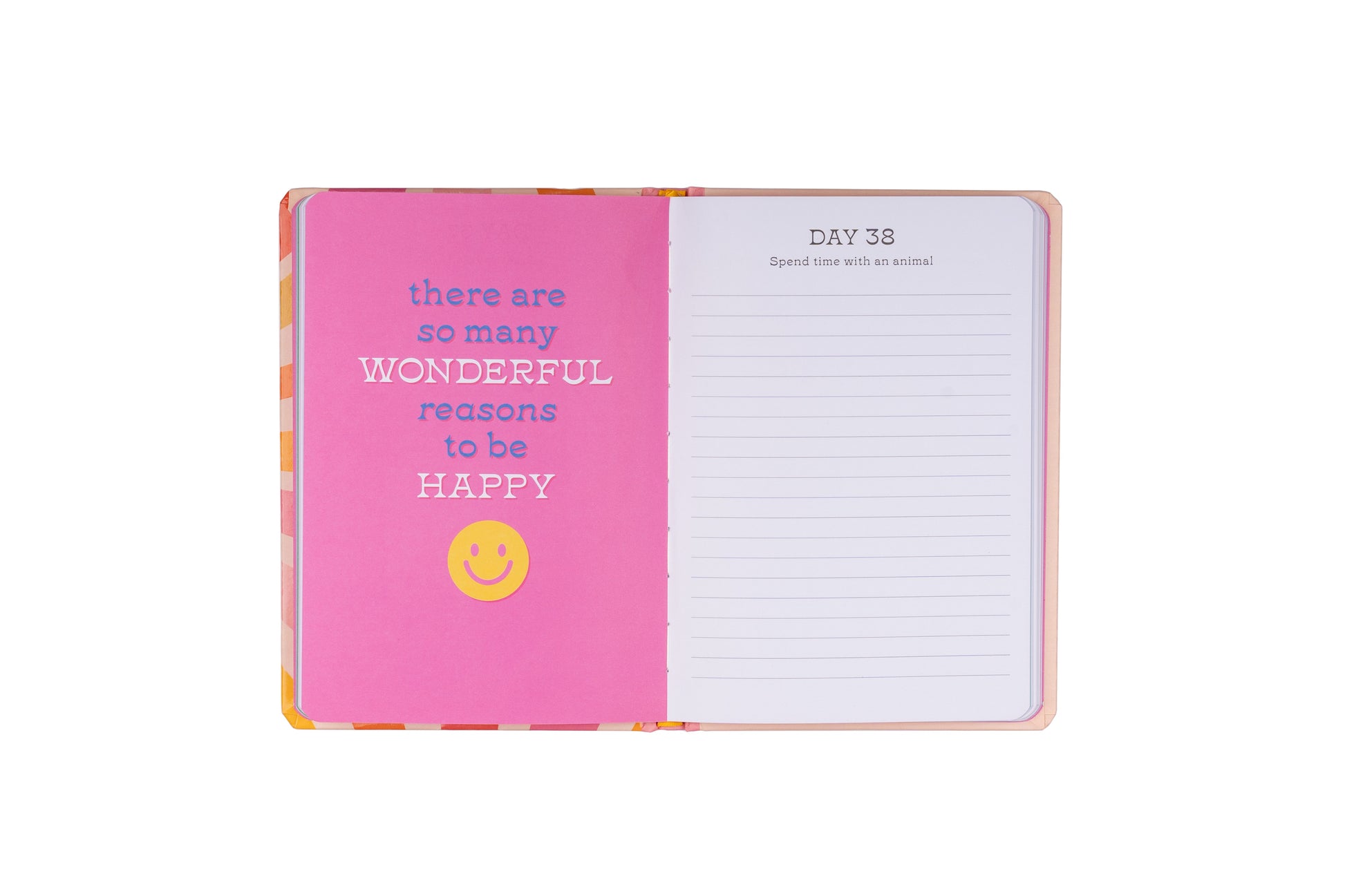 101 Days of Happy - A Purposeful Guided A5 Journal | Gift Book | Books Make Great Gifts