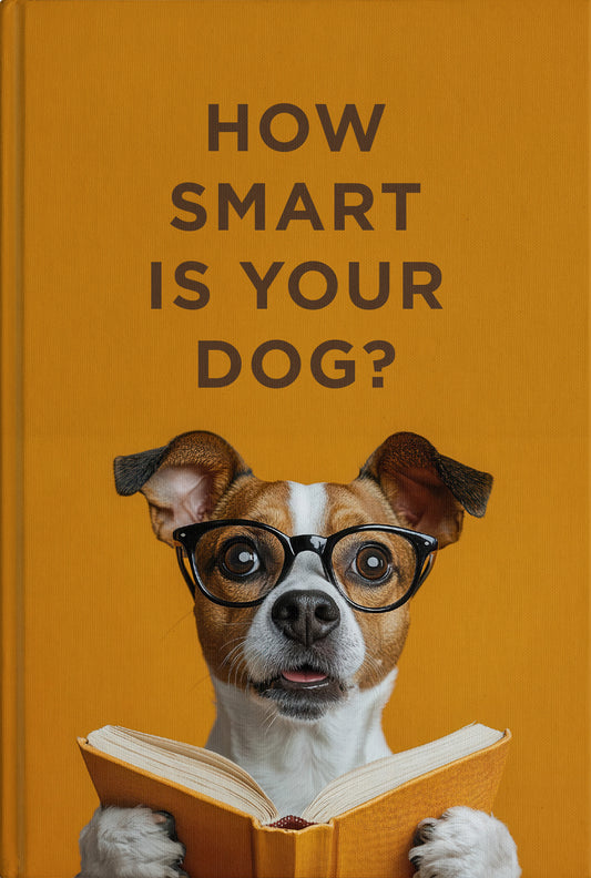 How Smart is Your Dog? | Gift Book | Books Make Great Gifts